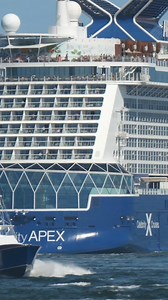 32K views · 843 reactions | The size difference is humongous...jajaja | cruiseshipsailings | Facebook