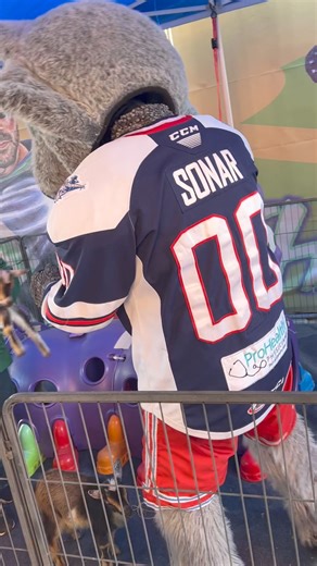 hanging with the goats tonight (literally) | Hartford Wolf Pack