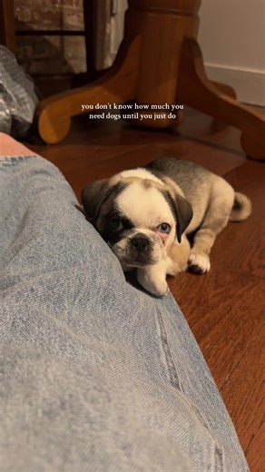 ALLY COWAN on TikTok