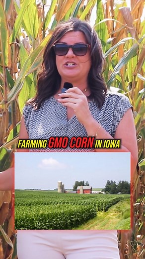 The reason why farmers choose to adopt the latest seed technologies for their fields #Iowa #GMO #cornfield | Farm Babe