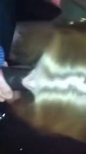 y. slut breaks up with her white boyfriend on the phone while suckin BBC