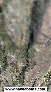 11K views · 103 reactions | #HAVOCNATION #FoxNews | HAVOC BOATS | Facebook