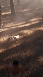 Un perfume es un olor. El resto sobra. Colección perfumes masculinos Adolfo Domínguez. Y ahora, descubre Ámbar Negro. Nuevo perfume Oriental. Nada más. #AdolfoDomínguezPerfumes #NuevoPerfumeOriental #AmbarNegroNadaMás | Adolfo Dominguez