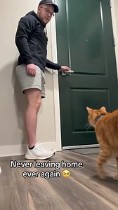 😍😍 #cat #catlovers | Cute Paws