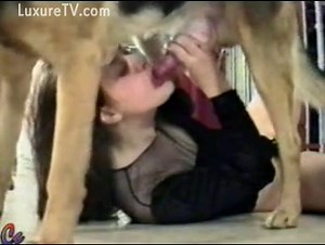 Teenage cutie tries bestiality sex by giving this dog a blowjob