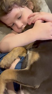 While most of us were happy to see rain today, this little one and her puppy were not ☔️ 🎶 #rain #rainraingoaway #rainydays #weather #sweetgirl #MomLife #love #fypシ @followers @topfans The City of Mobile Animal Services | Cherish Lombard