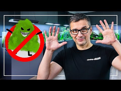 10 PROVEN METHODS to Manage and Prevent ALGAE Overgrowth