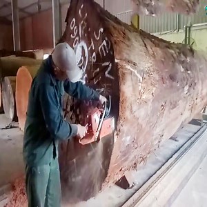 Technology For Cutting Large Timber - Magic Wood | Magic Wood