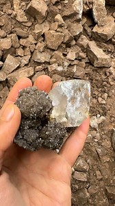 83K views · 1.4K reactions | Amazing herk/druze specimen found yesterday! #herkimerdiamonds #minerals #quartz #crystals #crystalhealing #crystalsforsale #rockhound #rockhounds #mining #upstateny #outdoors #recreation #minerals #geology #newyork #druze #crystalshop #adventure | Mohawk Valley Mineral Mining Inc | Facebook