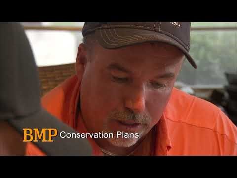 What Is a BMP?