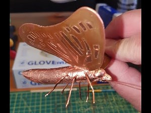 Copper Butterfly Introduction