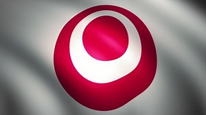 Flag Okinawa Prefecture Waving Wind Cg Stock Footage Video (100% Royalty-free) 1089568681 | Shutterstock