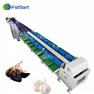 [Hot Item] Multi-Function Garlic Sorting Machine - Combines Weight Grading & Ai Size Inspection