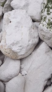 1.7K views · 126 reactions | How big do you want your ammonite? 90 million year old giant  #fossils #paleontology #ammonite #dinosaur #capblancnez #museum #beach #prehistoric #stones #rocks #minerals | Fossiles de cap blanc nez | Facebook