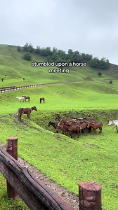 Everyday Moments: Horse Meeting in Narat Grassland