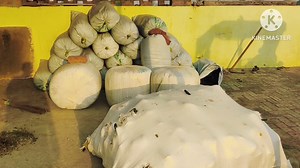 99K views · 2.1K reactions | All Dhanda family | Dhanda murrah farm | Facebook