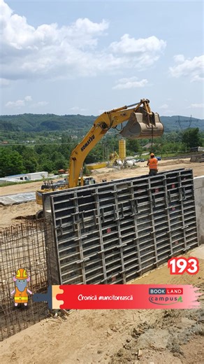 3.9K views · 87 reactions | "Fieru' pana sus montat si broscoiul...