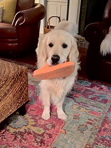 Dis Bubba Beach Flop Flips 🤔 But MA! Dis BUBBACINI FLOPS | Along Came Polly, Rosie and Bubba