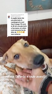 91K views · 2.1K reactions | AVANTI UN ALTRO 藍藍藍藍 | Barbaro Statella | Facebook