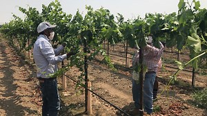 Sacramento leaders push for more education, support on vaccinating hardest-hit groups