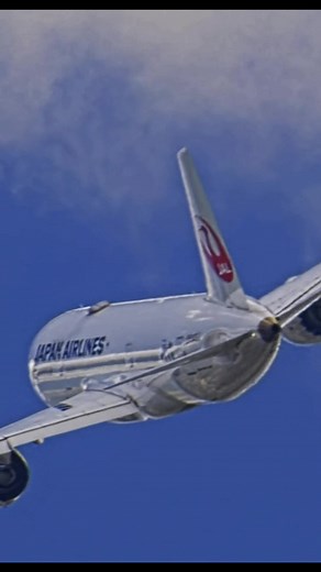 伊丹空港（大阪国際空港）でB787を撮る方法とアクセス案内