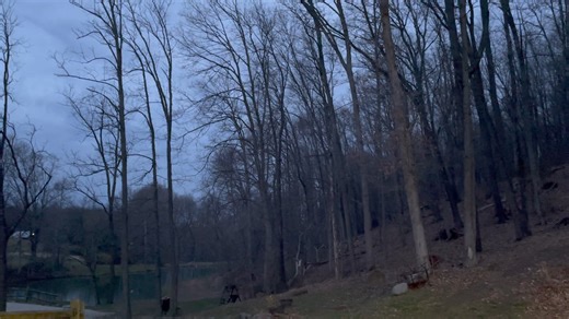 2K views · 140 reactions | Beautiful sounds of birds this morning… | Buddy Davis | Facebook