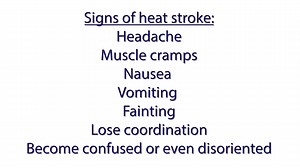 1.4K views |  How to Avoid Exertional Heatstroke: Tips from Dr. John Jardine ‍♂️ As race day approaches, staying safe in the heat is crucial. Dr. John Jardine shares quick, essential tips to help you avoid exertional heatstroke during the Falmouth Road Race. Stay cool, stay hydrated, and race smart! 流 | Falmouth Road Race | Facebook
