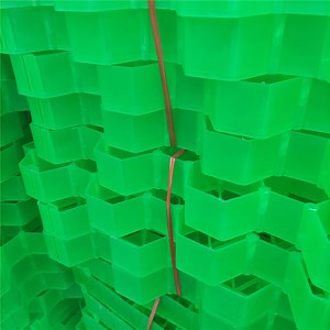 [Hot Item] HDPE Plastic Grass Lawn Grid for Driveway Pavers