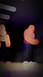 606K views · 11K reactions | Wedding Series ~ 18 Dhak Dhak Karne Laga變 . Dc :- @prem_kushwah_007 . #weddingchoreography #dhakdhakkarnelaga #gangsofdancer | Gangs of Dancer | Facebook