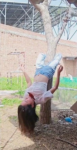 How to Climb a Tree Like a Pro: Easy Techniques for Beginners