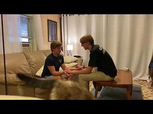 Head to Toe Assessment by a Male Nurse