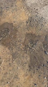 10K views · 93 reactions | One of the water pipes that services our main pig barn and other critical buildings burst suddenly and needs to be repaired right away. It’s getting hot this week and we really need to get water to the pigs for drinking and for their pools! Please help us with this unexpected urgent repair! | Woodstock Farm Sanctuary | Facebook