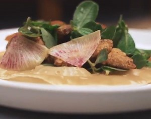 ¡Disfruta con nosotros un día de alberca y comida deliciosa! Gracias a Jade y Quetzal por el video. | Hotel Carlota