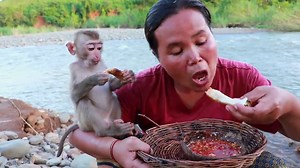 survival in the rainforest-Found pleurotus eryngii with big fish and cooking | Galvin Planet