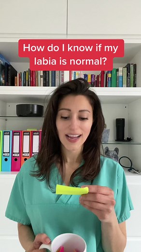 Understanding Labia: Shapes, Sizes, and Normal Variations