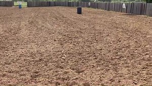 Had my top hand rake Digger for a spin after I worked him to check his progress with new jockey 😎 he is SO NICE! Y’all missed out not snagging this gelding for $10k… thank you @shannonjones20 and @raegan_jones11 for trusting us with this big goofy boy ❤️ #wildeyeranch | Wild Eye Ranch