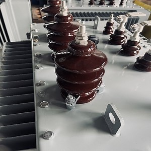 [Hot Item] Transformer S9 315kVA 15kv 0.4kv Power Transformer Supplier Copper