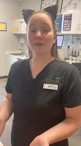 3.4K views · 34 reactions | A big part of our Virtual Kitten Shower...