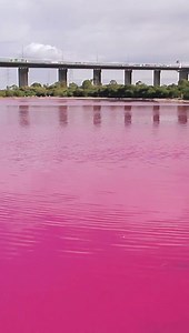 Overgrowth of algae in this salt lake produces a red pigment called beta carotene, giving the water a pink hue. | Seeker by The Verge
