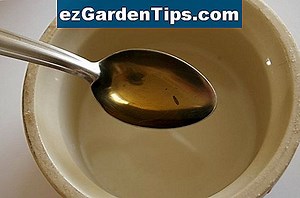 Les effets de l'urine humaine sur une plante herbacée 🌱 Conseils Jardiniers - Fr.ezGardenTips.com
