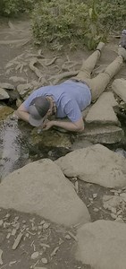 Would you? | Andrew Todd