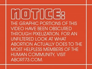 A two-minute video overview of abortion. What it is, who it affects, how it is performed, why it happens, and why it is unjust. The graphic portions of this video have been obscured through pixelization. For an unfiltered look at what abortion actually does to the most helpless members of the human community, visit: http://www.abort73.com/videos/an_overview_of_abortion_in_2_minutes/ | Abort73