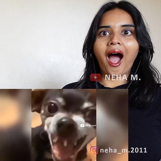 Dank Indian Memes 🤪😆😆REACTION | Trending Memes | Indian Memes Compilation | SB Meme | Neha M. #neham #funnymemes #dankindianmemes #comedy #memes #dancing kindiamemes #viralmemes #funnymemespage | Neha M.