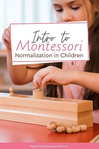 Intro to Montessori Normalization in Children - Master the Montessori Life