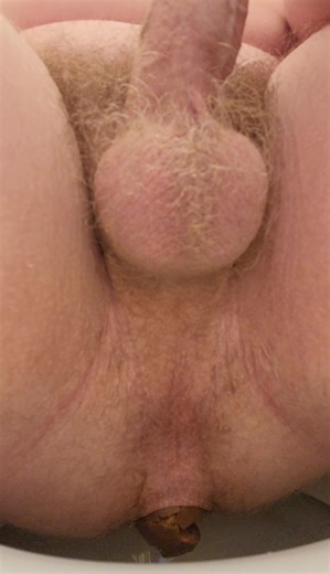 pooping in toilet close up