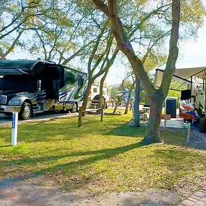 ✅ Big rig RVs ✅ Cottage vacation rentals ✅ Pet friendly At Ocean Grove RV Resort in Saint Augustine, FL - you’ll find spacious sites, a heated pool, walking distance to the beach, even a boat launch. Book now, stay awhile. | Ocean Grove RV Resort