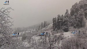 2.1K views · 143 reactions | #snowfall  It is a blessing of almighty Allah. winter has brought snow fall after a very long dry spell . although the weather is extremely cold in winter season but snowfall brings pleasure and happiness among the people . | Yaqoob Lala journalist | Facebook