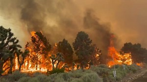 Wild Fire Behavior on the Sheep Fire in SBC