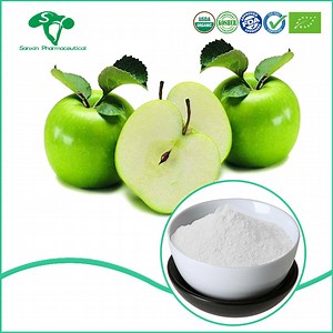 [Hot Item] Pure Natural Apple Malus Sylvestris Extract Powder for Health