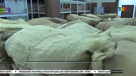 3.8K views · 95 reactions | JENAYAH | 21 Tan Daun Tembakau Virginia Dirampas 21 tan daun tembakau jenis virginia bernilai RM650,000 dirampas dalam serbuan di sebuah stor di Ipoh, Perak. | Buletin TV3 | Facebook